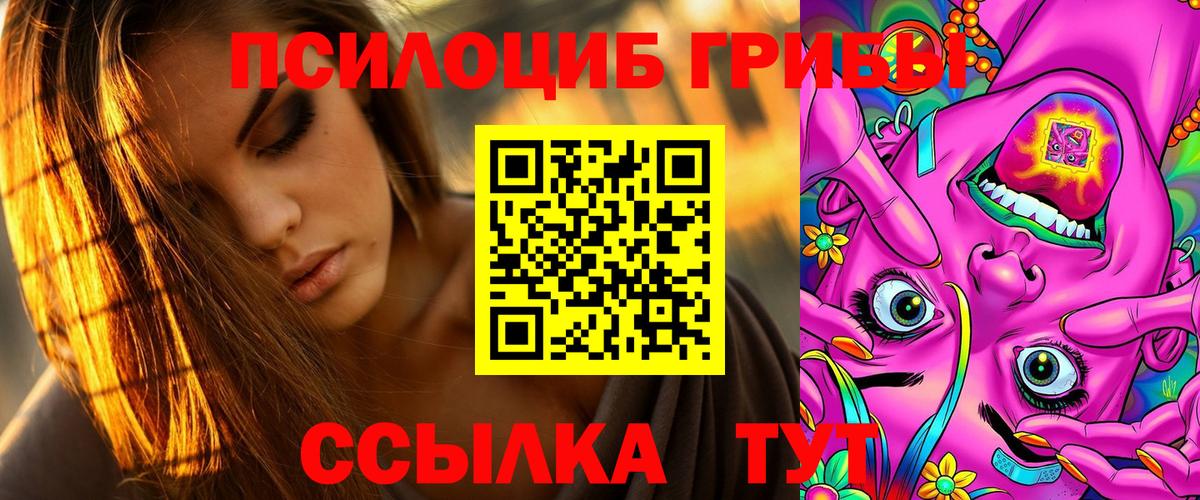 Псилоцибиновые грибы мицелий  Вход с VPN  Владикавказ 